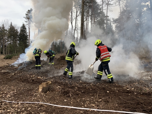 Waldbrand – rascher Einsatz verhindert schwere Folgen!
