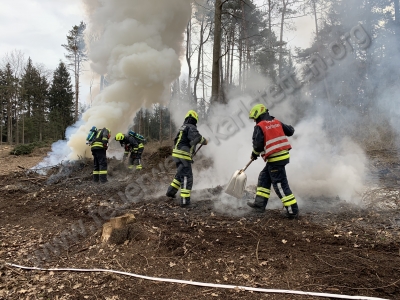 Waldbrand – rascher Einsatz verhindert schwere Folgen!